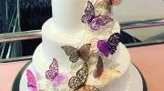 Events Bat Mitzvah Butterfly Cake